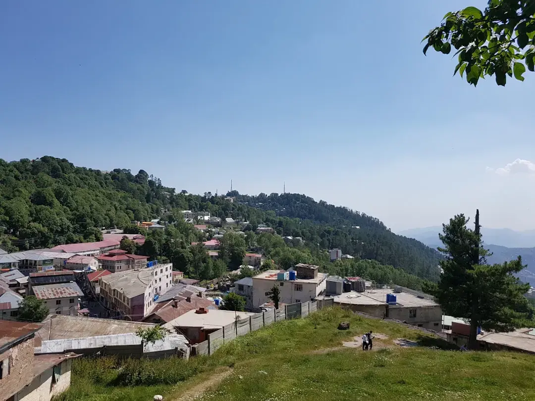 Horoscop 11 iulie: Ambiție, creștere și prețul perfecțiunii