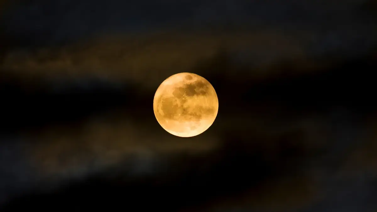Luna Nouă în Rac: O Refacere Emoțională Profundă