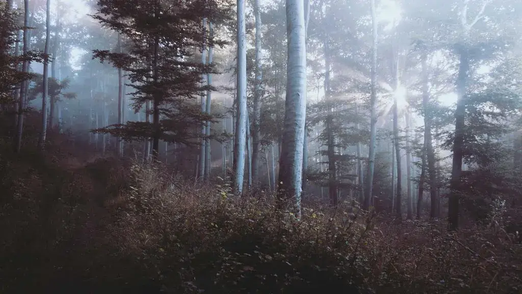 Horoscop rune 16 septembrie 2026: Thurisaz provoacă confruntarea cu impulsurile, Perthro anunță un eveniment