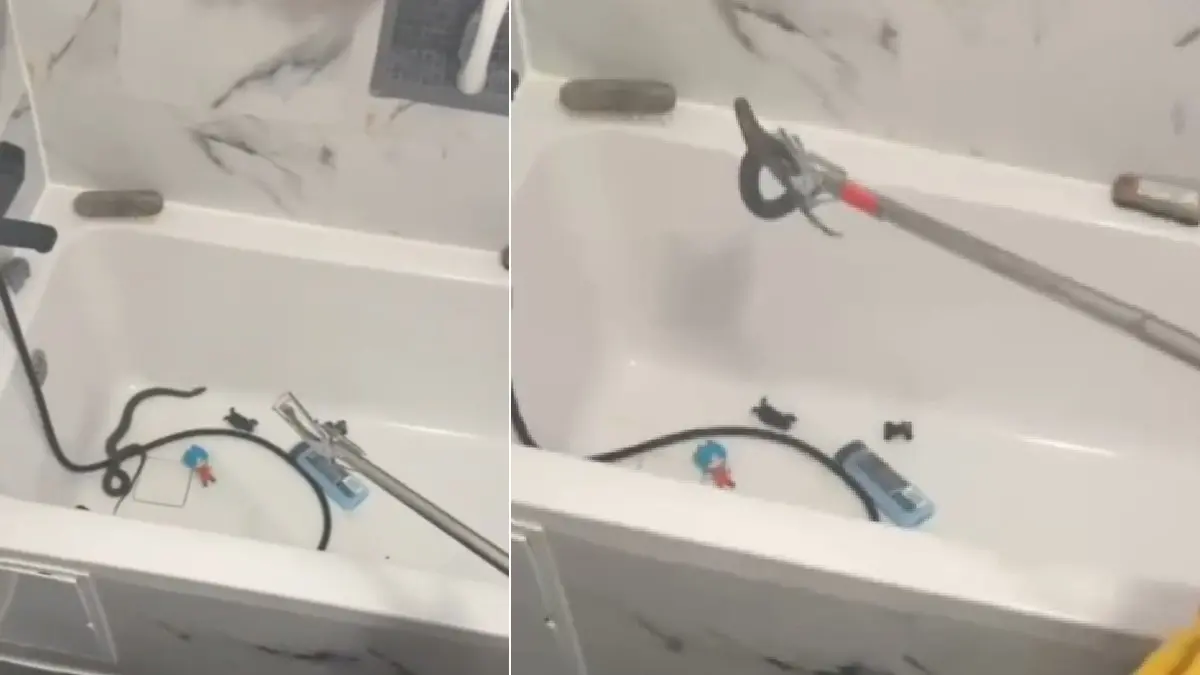 Descoperire șocantă într-o locuință din Medgidia: O mamă a găsit un șarpe în cadă în timp ce se pregătea să îi facă