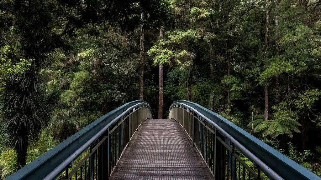 Credibilitate în astrologie: ce apreciază de fapt clienții
